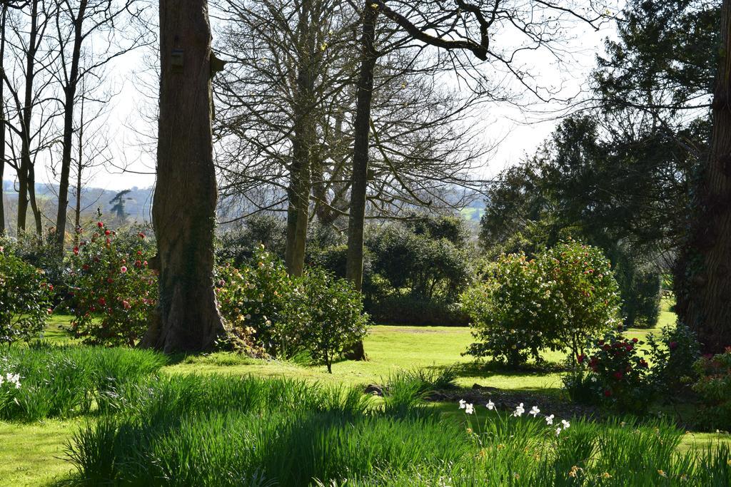 Llansabbath Country House B&B Abergavenny Esterno foto