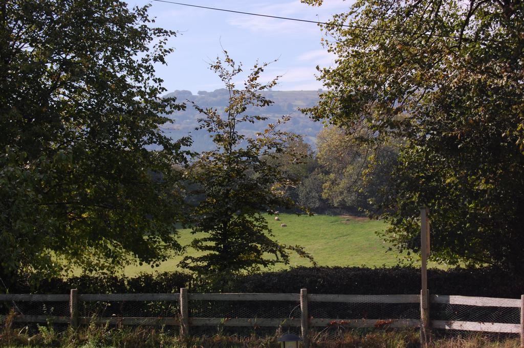 Llansabbath Country House B&B Abergavenny Esterno foto