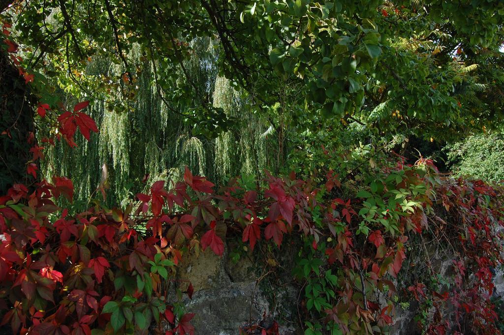 Llansabbath Country House B&B Abergavenny Esterno foto